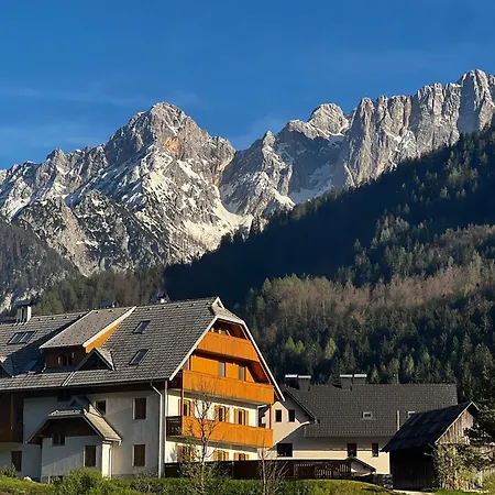 公寓 Zaria Alpine Apartment, *