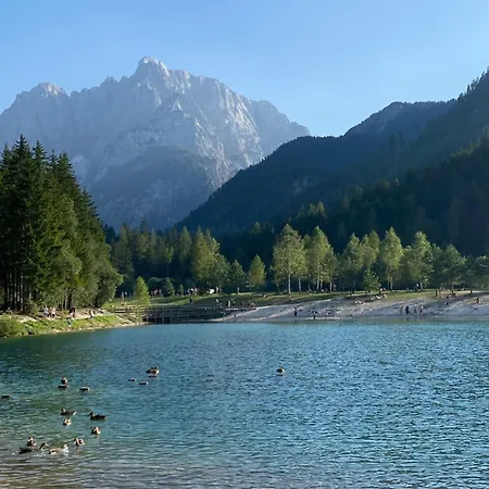 Zaria Alpine Apartment, 公寓