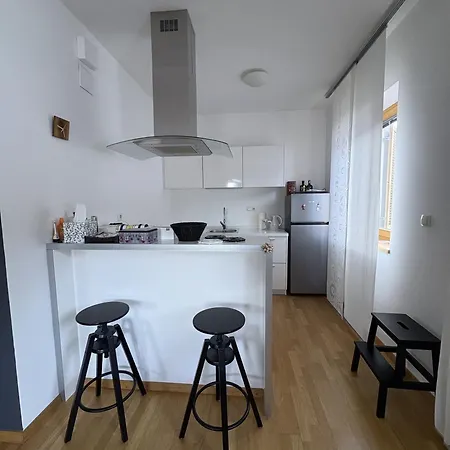 Zaria Alpine Apartment, 公寓 *